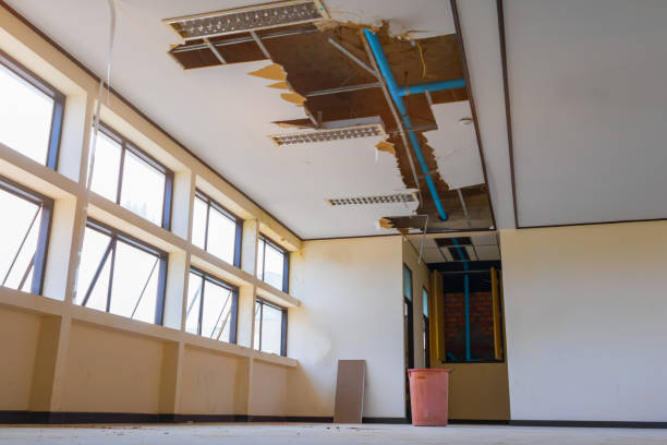 Best Water damage restoration near me  in Forsgate, NJ