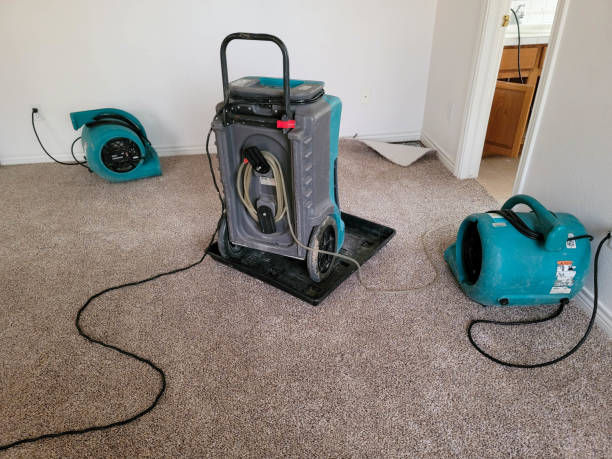Best Water damage cleanup near me  in Forsgate, NJ