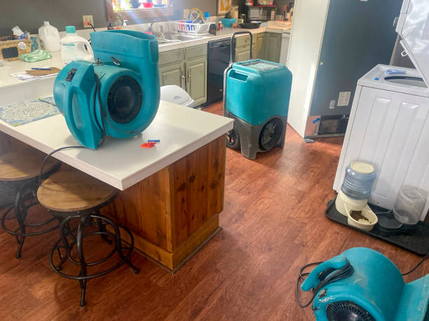 Best Local water damage restoration  in Forsgate, NJ