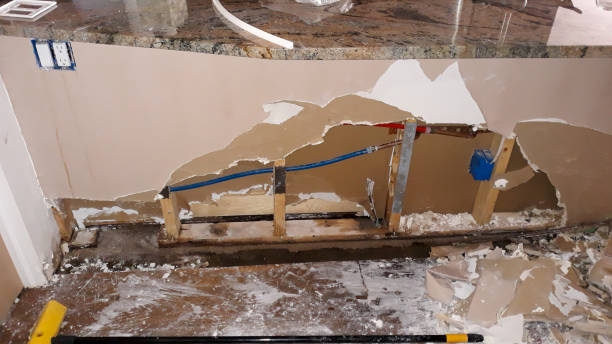 Best Flood damage cleanup  in Forsgate, NJ