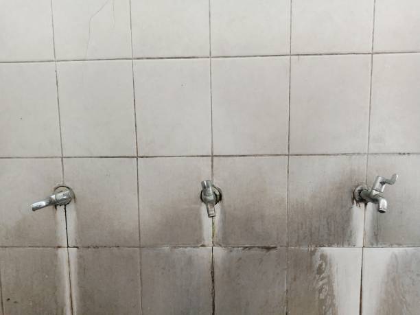 Water damage restoration mold remediation in NJ