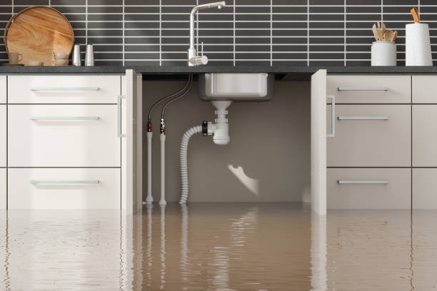 Best Emergency water damage restoration  in Forsgate, NJ