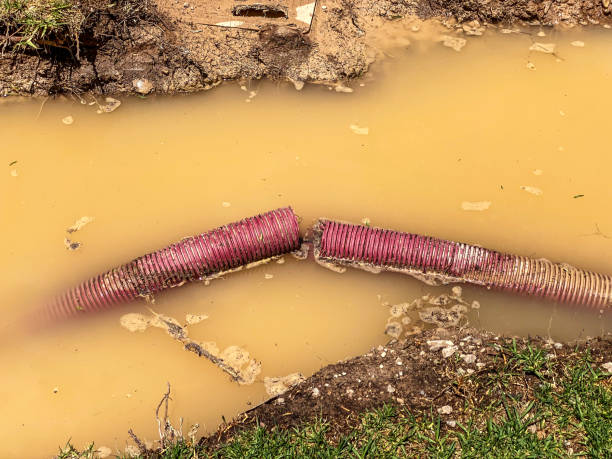 Best Mold removal after water damage  in Forsgate, NJ